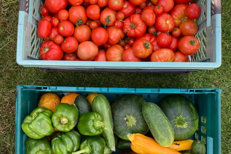 Carlisle Green Hub vegetables for others