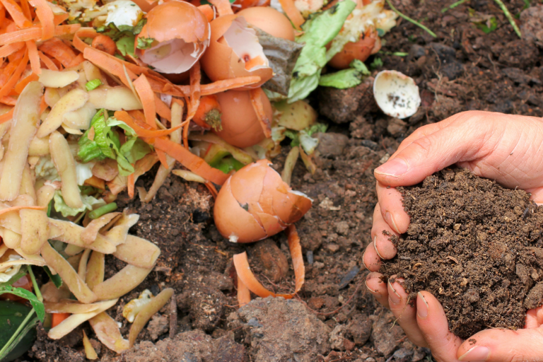 Hands holding compost with food scraps in the background