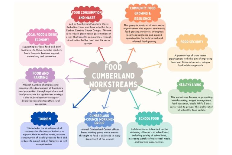 Mind map of the various workstreams undertaken by the food partnership